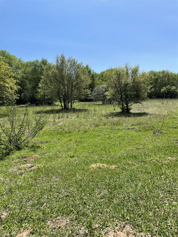 580 Fm 3283 Hallettsville, Texas 28.139 acres off of FM 3283 between Hallettsville and Sheridan off Hwy 90A. This driveway off of FM 3283 is well maintained and leads you into your private oasis. There is an electric pole, an RV Pad, zipline, wildlife feeders and tree stands. The front of the property is heavily wooded for the true camping experience. Cross the sandy creek branch over the low water crossing to the back area where it opens up into pure beauty. The seasonal creek provides some seasonal flood plain, but great habitat for wildlife. The neighboring 88 acres has an easement through this property for access.