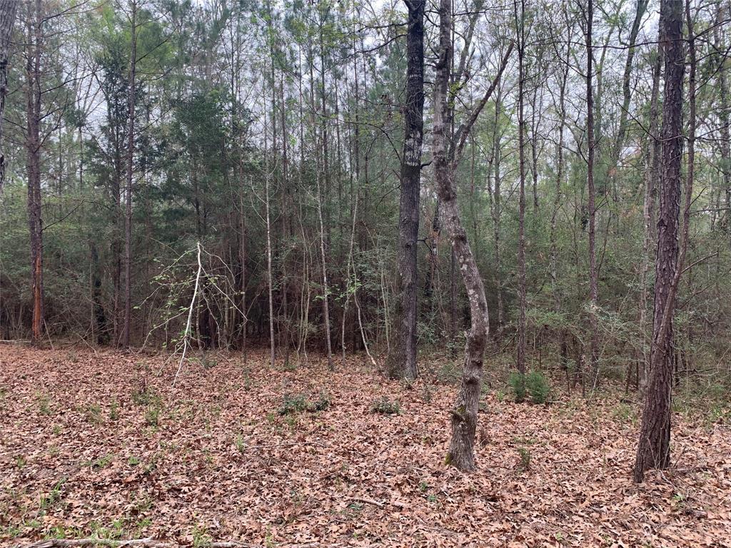 TBD  Pr 8275  Woodville Texas 75979, 48