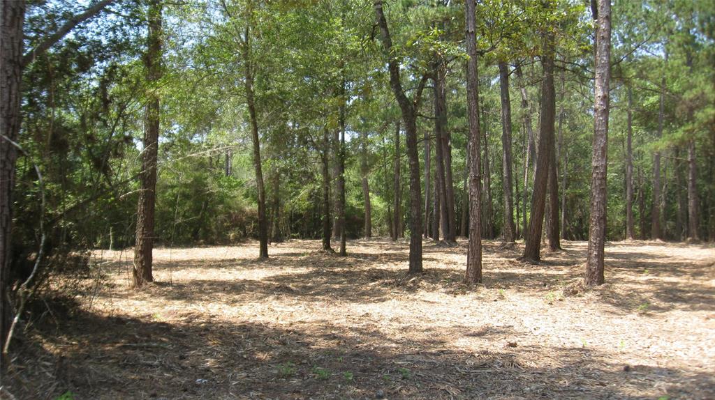17568  Country Lane Waller Texas 77484, 60