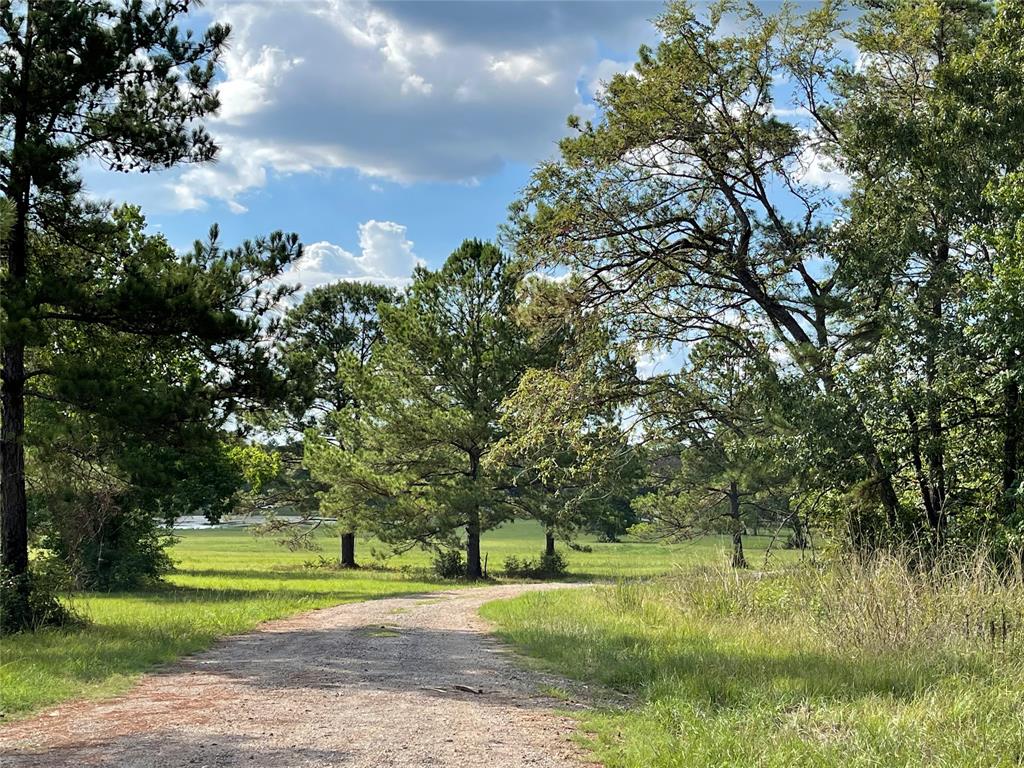15691 Forest Grove Drive , Willis, Texas image 12