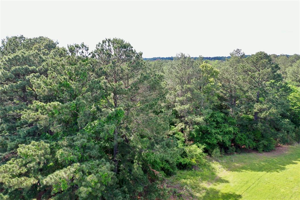 Remarkable 17.4 wooded Acres in Elkhart TX area. Property accessed by easement. Great area close to Elkhart & Elkhart ISD. Access easement to be cleared by the buyer. Aerial and ACAD plat map in associated docs for reference. Property can be sold as whole or in part as 5.8 Acre tract or 11.56 Acre tract with deeded easement. Call agent or office prior to viewing property.