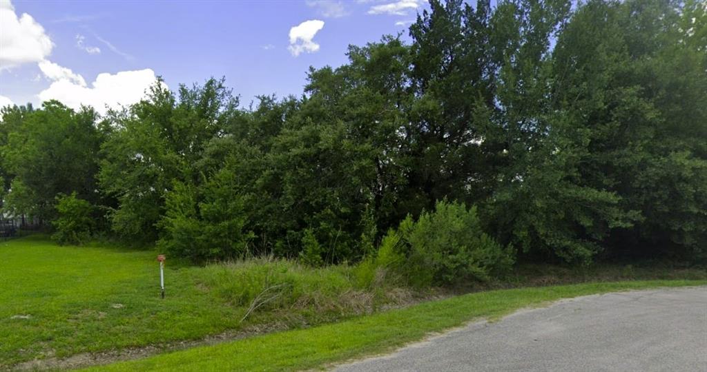 0000 Pine Meadow  , Missouri City, Texas image 1