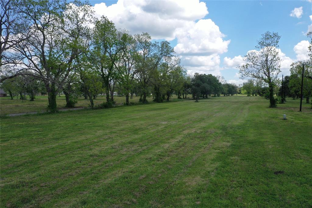 Welcome to Lot D, this tract is nested on 10.030 acres of selectively cleared mature pecan trees and scattered century old live oak. The property is ready for you to build your dream home or business while living on the property- as per deed restrictions. Deed restricted including no mobile homes. Perfect for your horses and livestock! Tons of outdoor space for entertaining and 4H Projects.  Conveniently walking distance from New Gulf Elementary.  You don’t want to miss all this great property has to offer! Schedule your showing today!