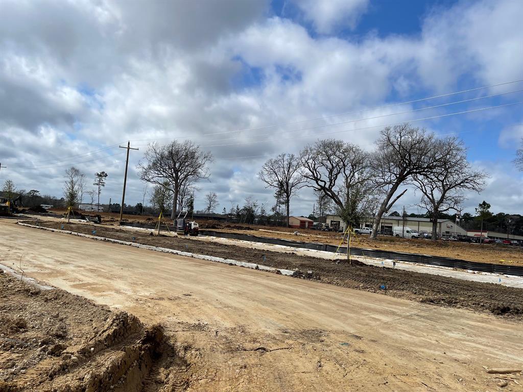 11768  Whirlaway Drive Willis Texas 77318, 39