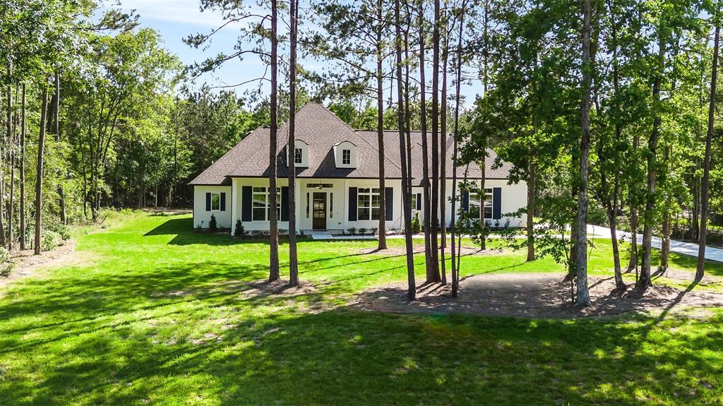 15821 Wooded Trail Way, Willis, TX 77378
