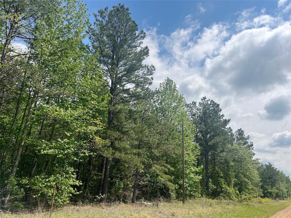 11+/- wooded acres that will be a great homesite or small recreational tract. The property has electricity at the front and access to a shared water well.
