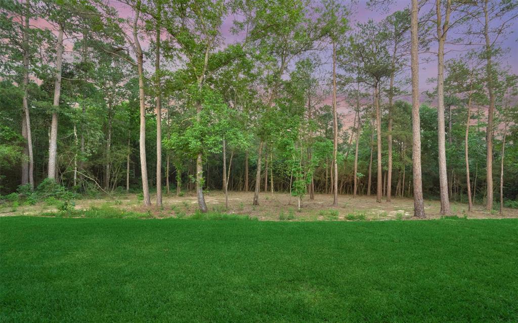 15706 Republic Grand Ranch Rd N, Willis, TX 77378 - HAR.com