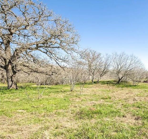 The little piece of heaven on earth, this property is perfect for cattle grazing and watching the sunsets. Call today to schedule a showing.
