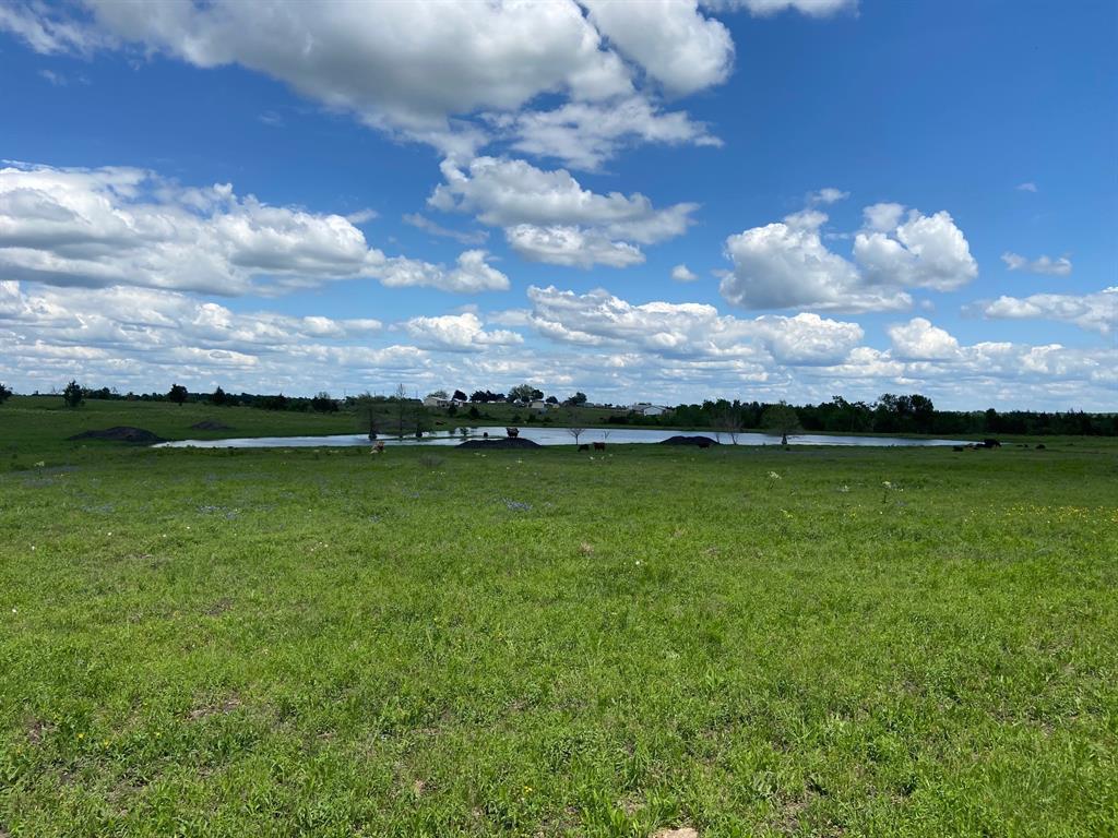 5255  Caney Creek Road Chappell Hill Texas 77426, 58