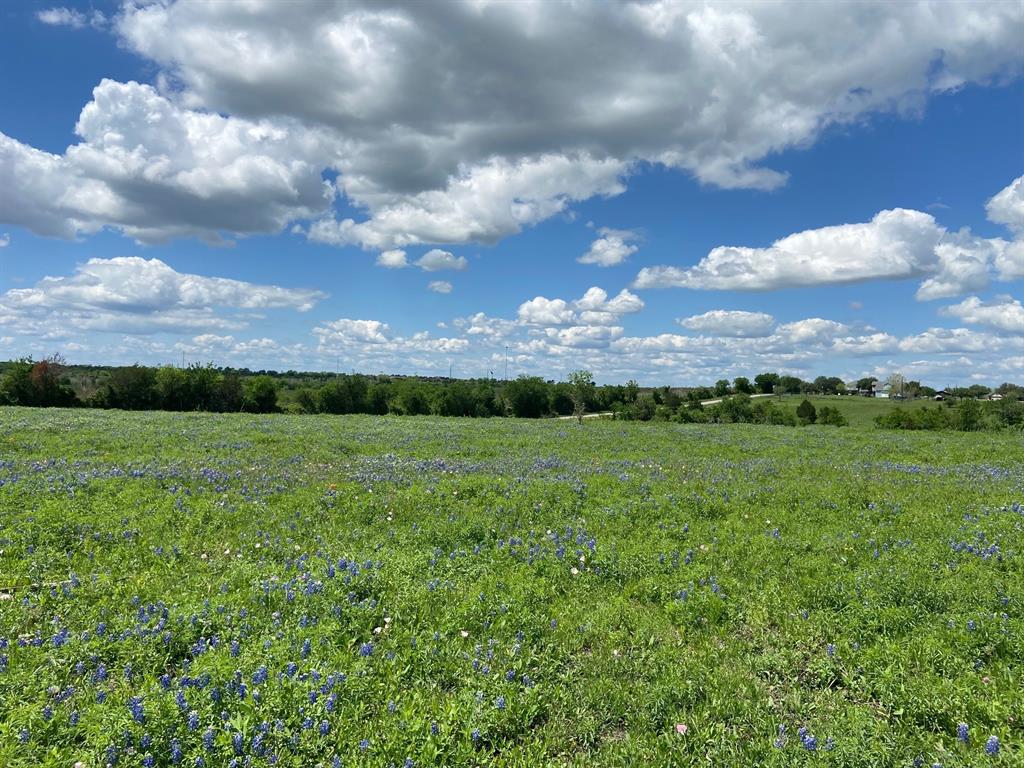 1  Jozwiak Road Chappell Hill Texas 77426, 58