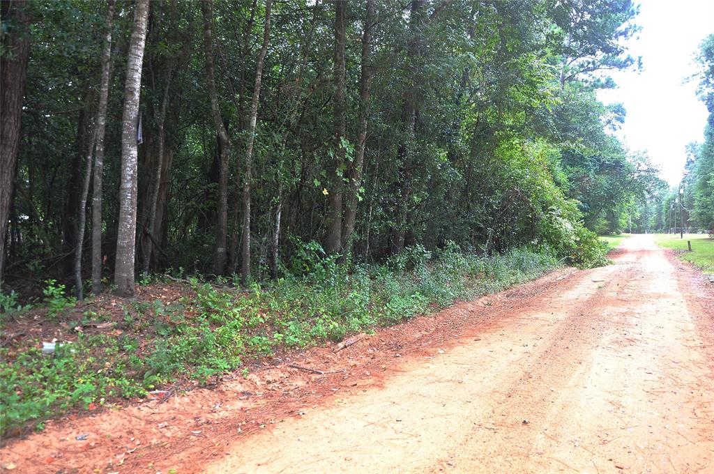 TBD Baletka Boulevard, Livingston TBD Baletka Boulevard Livingston Texas 77351, 44