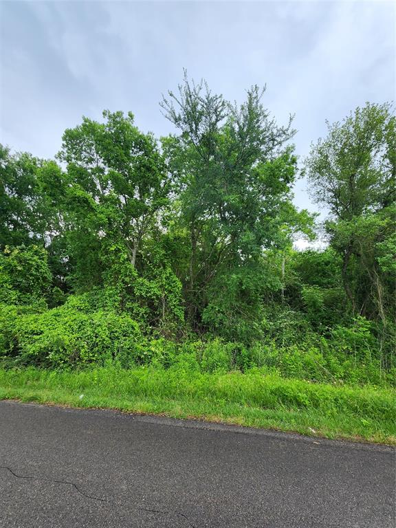 13091  Greenbriar Drive Willis Texas 77318, 39