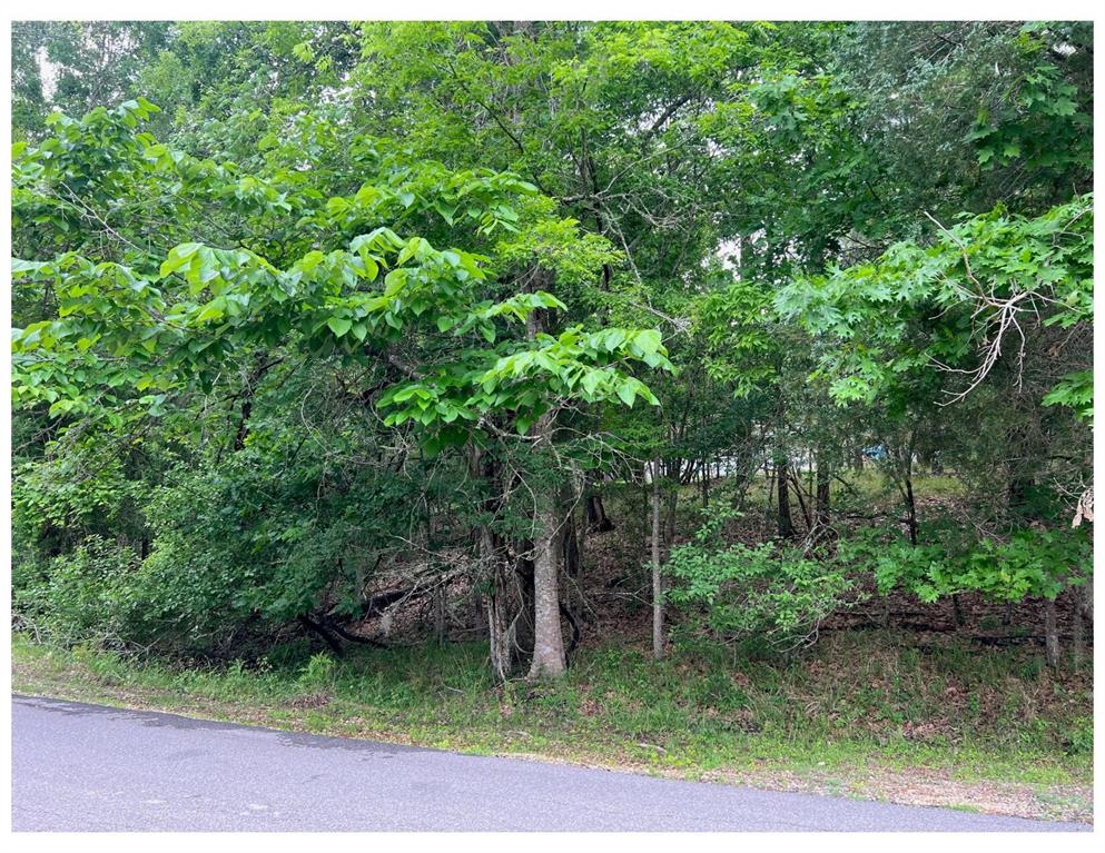 105 S Pine Harbour Dr