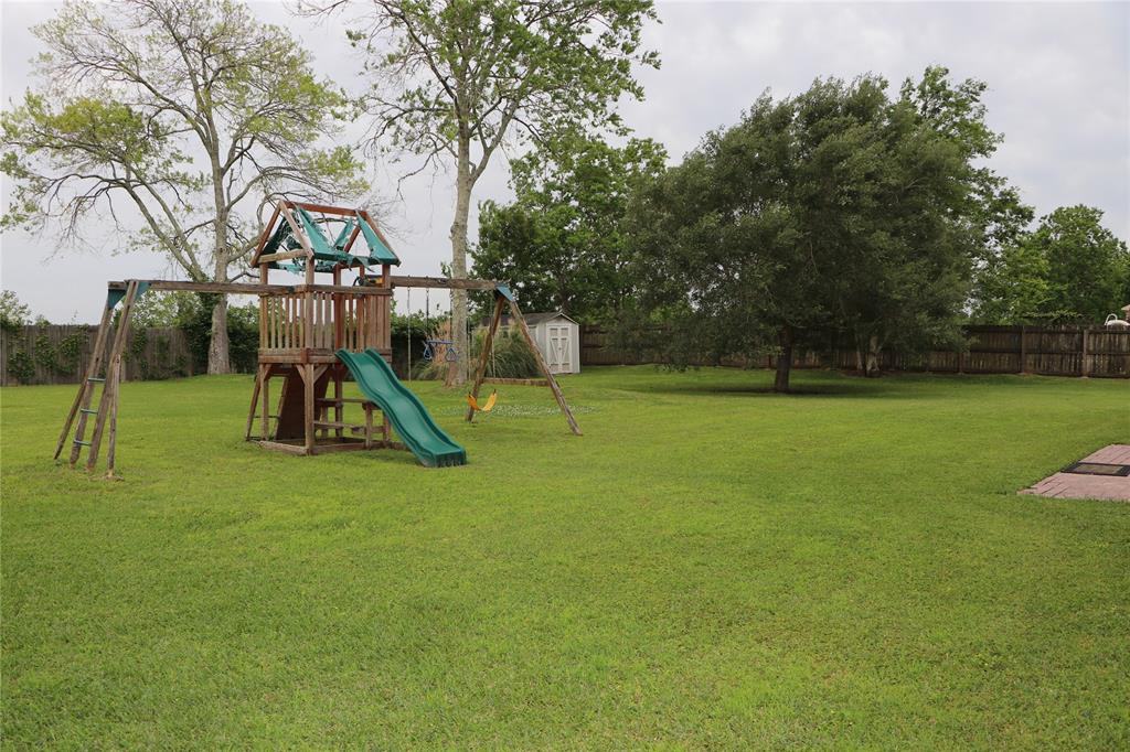 back yard