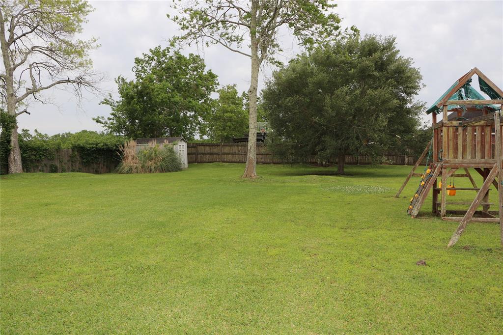 back yard