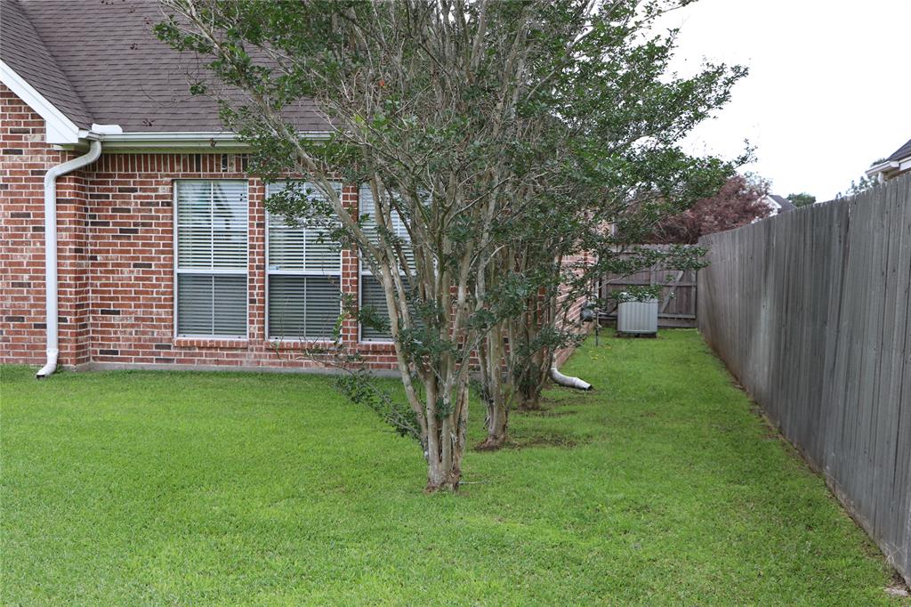 side of back yard