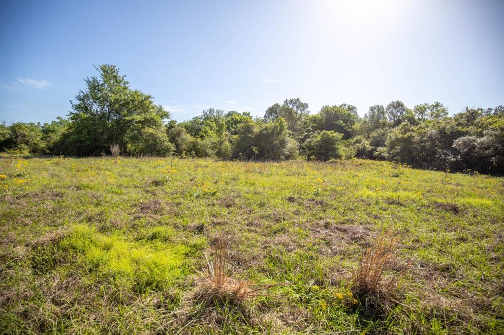 TBD Red Hill Road , Bedias, Texas image 12