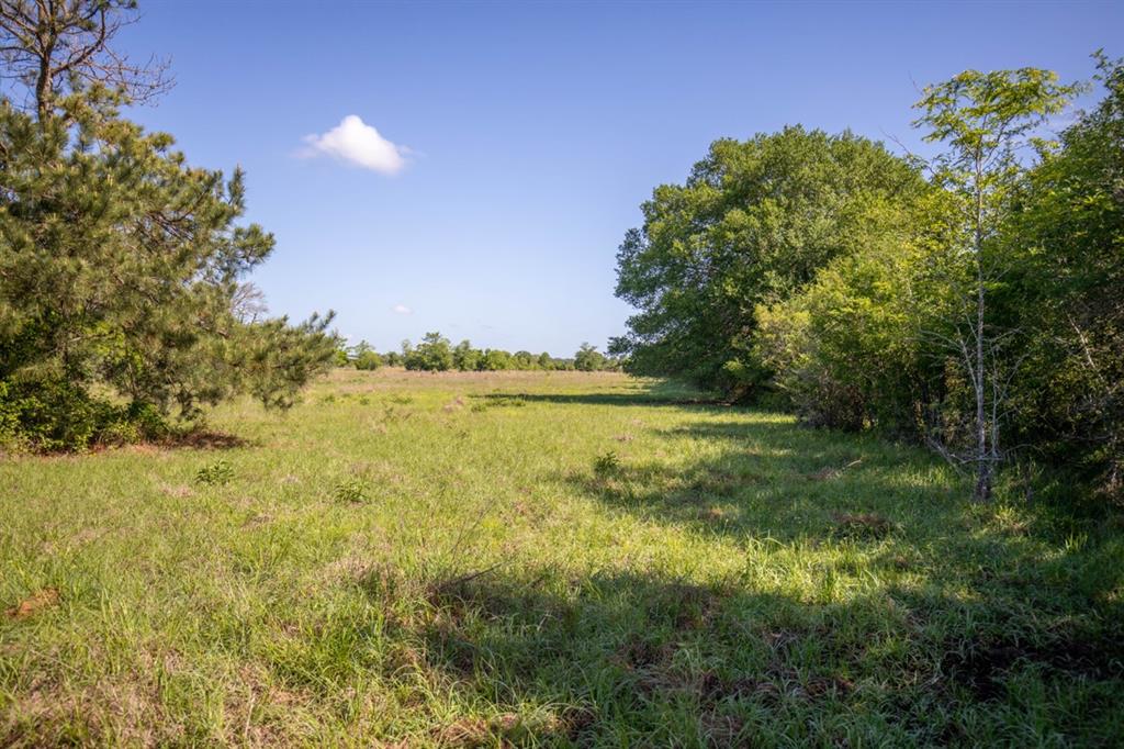 TBD Red Hill Road , Bedias, Texas image 16
