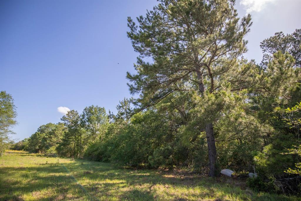 TBD Red Hill Road , Bedias, Texas image 18