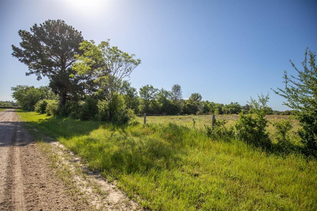 TBD Red Hill Road , Bedias, Texas image 19