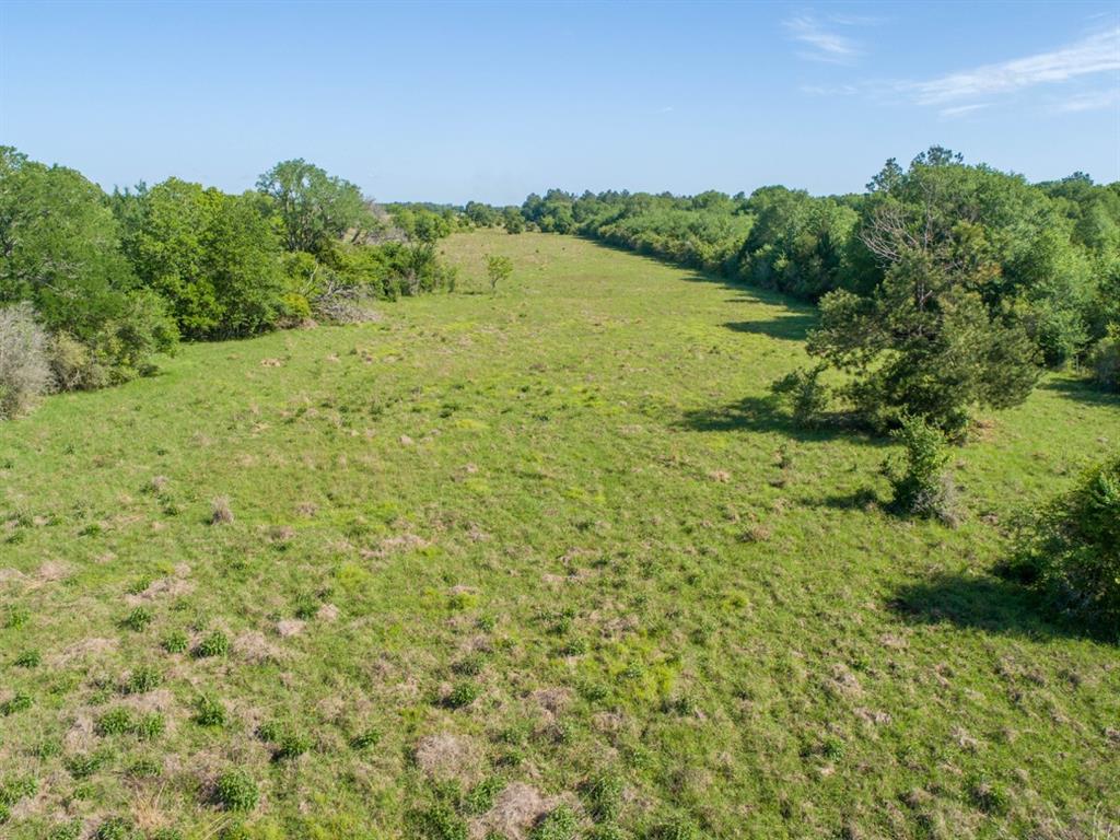 TBD Red Hill Road , Bedias, Texas image 8