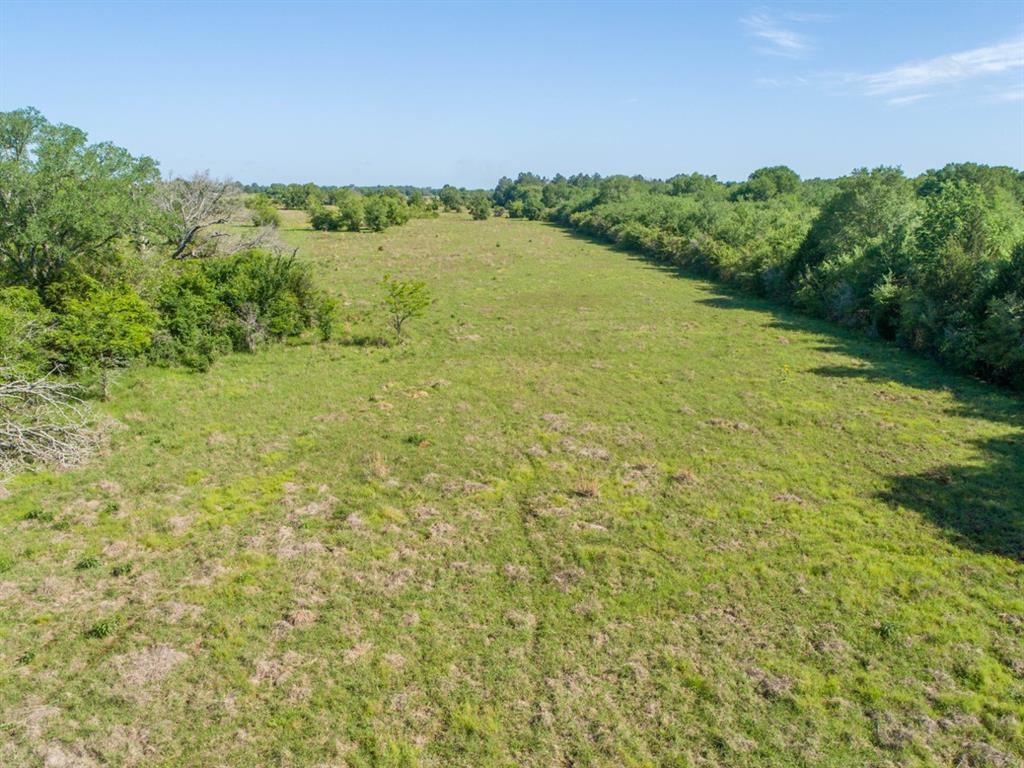 TBD Red Hill Road , Bedias, Texas image 9
