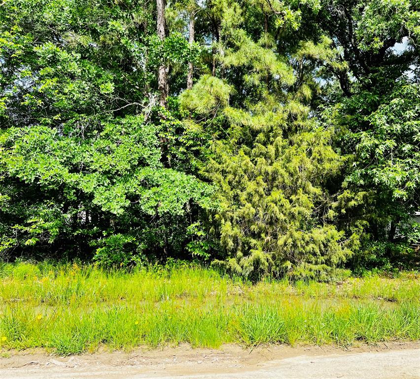 156  Jaycrest  Livingston Texas 77351, 44