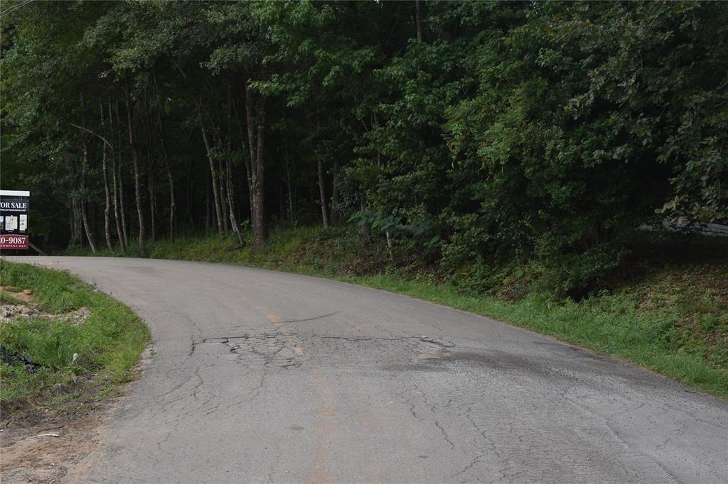 TBD  Ben Milam Road Willis Texas 77378, Willis