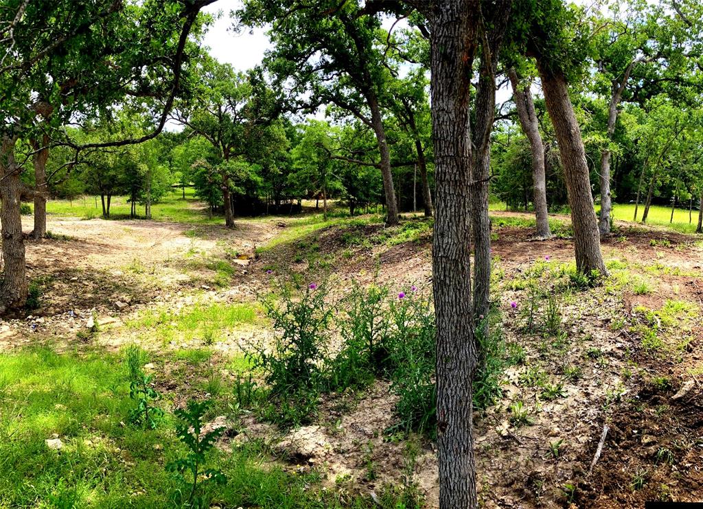 301  Apache Drive Somerville Texas 77879, 59