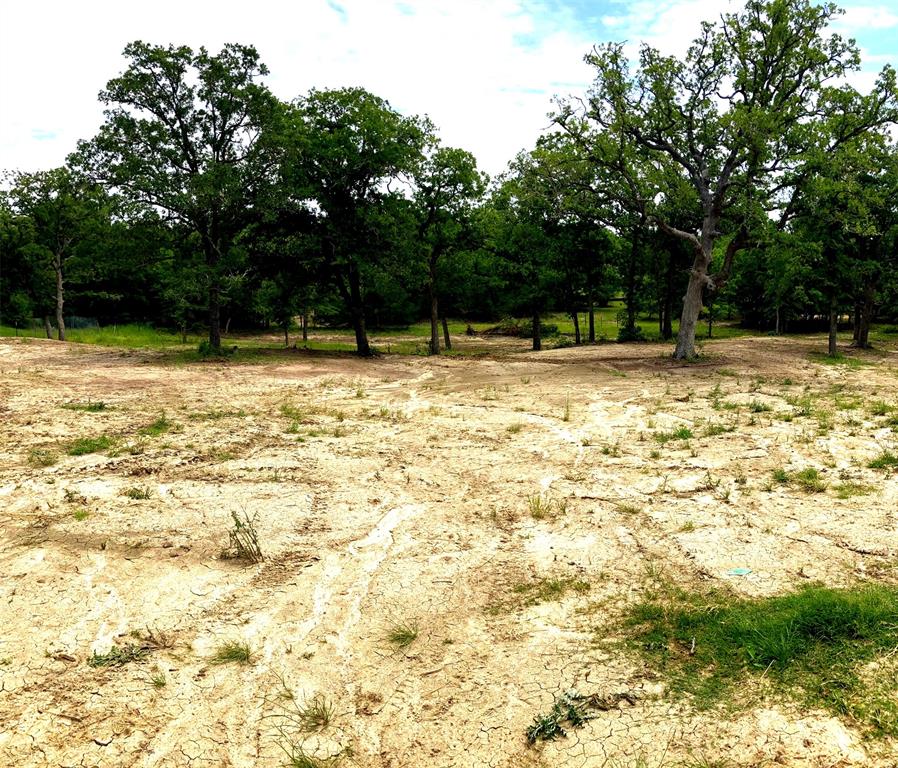 TBD  Apache Dr S  Somerville Texas 77879, 59