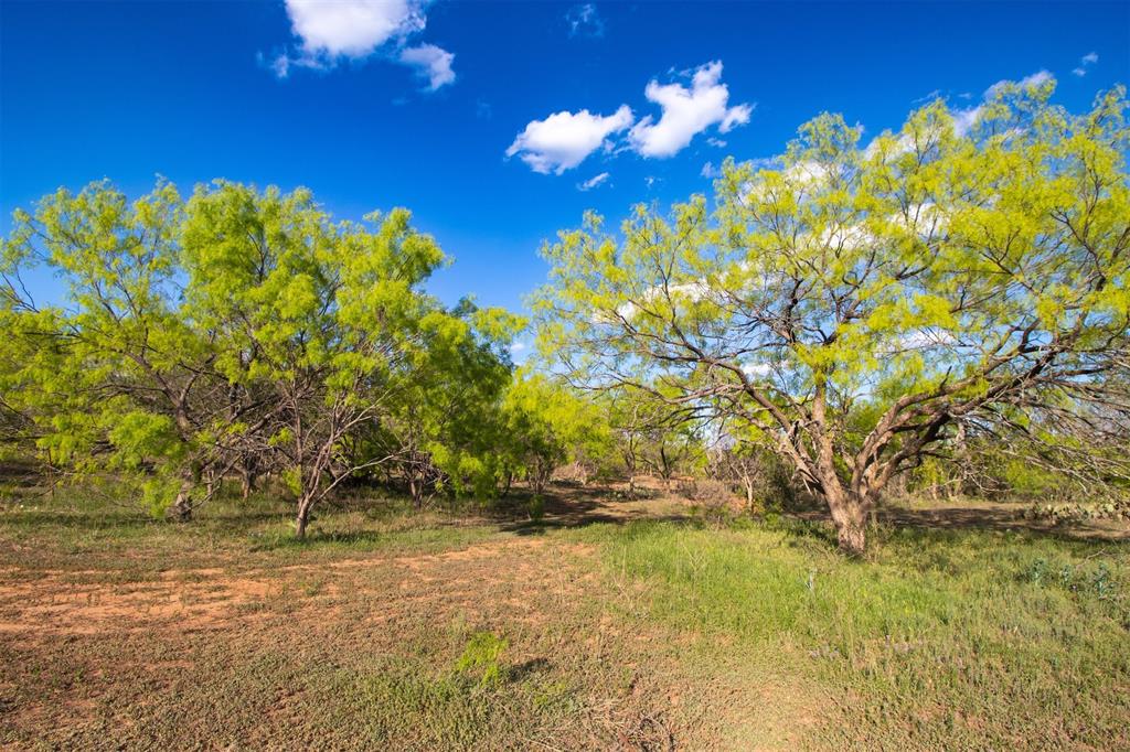 The terrain and vegetation of the ranch makes for ideal hunting conditions and is capable of supporting a sizable herd of livestock.