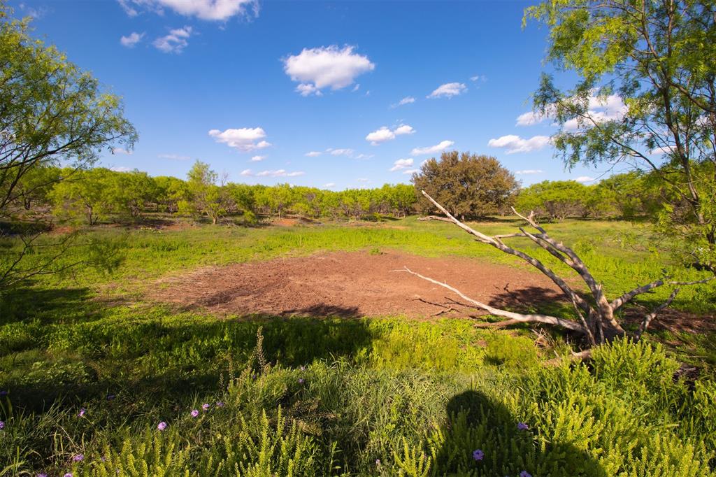 Green grasses and other native plants fill the low areas of the ranch making an environment ideal for hunting and livestock.