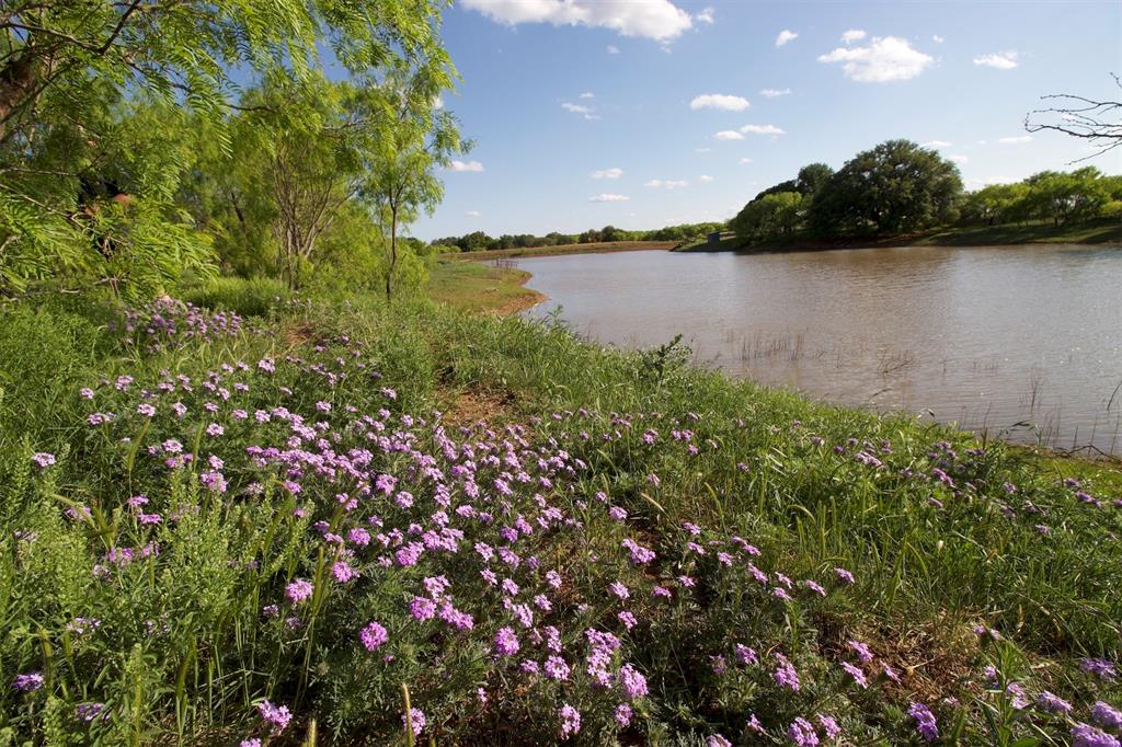 Wild flowers growing by the lake are a beautiful site as you explore the ranch.