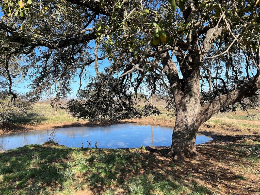 Not only does the ranch have a number of man made water features, there are a number of natural ponds where water and trees come together.