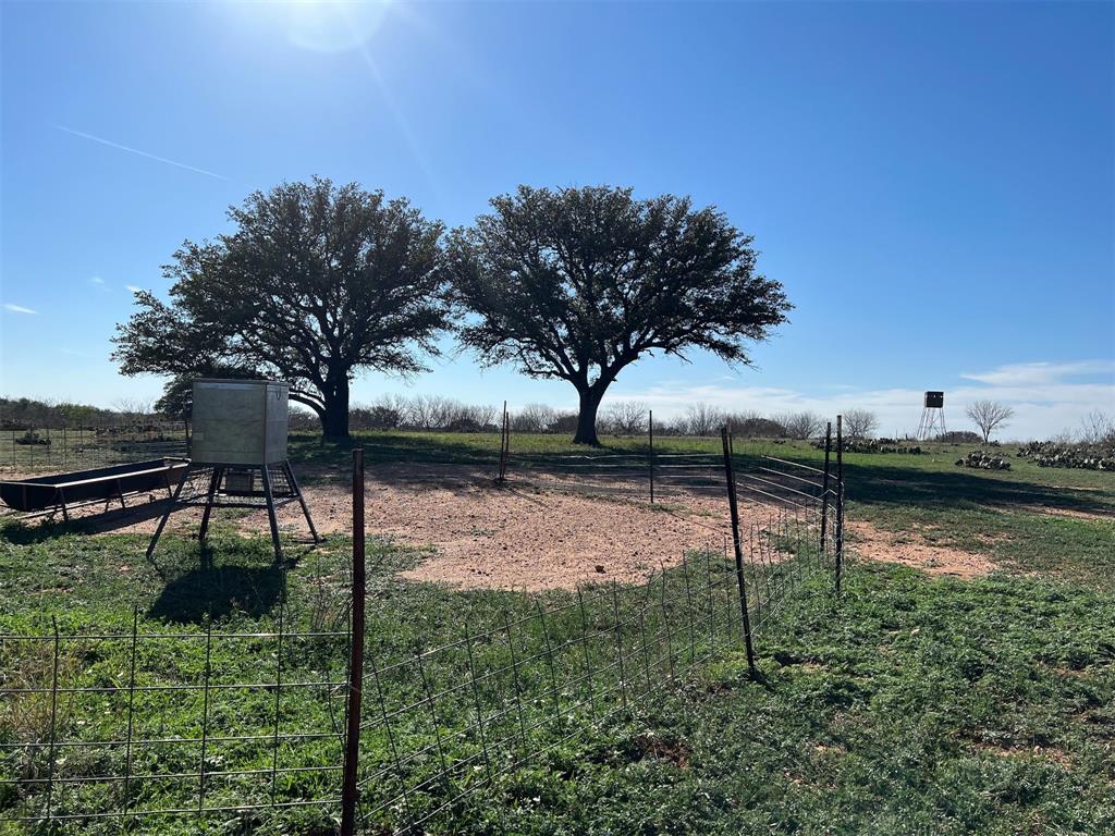 Regency Hope Ranch has countless hunting locations each with their own blind and feeder.Regency Hope Ranch has countless hunting locations each with their own blind and feeder.