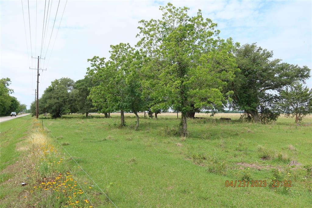 A great subdivision property in the middle of Van Vleck and the best school district in the area. School is rated best in the state of Texas.  This property has a nice creek called Hardeman Slough that runs thru the property and along the side of a nice subdivision on the northeast side of this property. 

This property borders Old Van Vleck Road & CR 216.  Its off Martin L. King Road & CR 126.  Has electricity on the property and nice live oaks and other hardwoods going east next to subdivision.  Property has 4,865 feet on CR 126 and 3,277 feet on M. L. King Street.

This property has a water well that is 60 feet deep and on a timer for watering the cattle.   Seller has cattle on the property and is Ag. Exempt.  There are no oil/gas wells and no production. No leases on the property.

This would be a great commercial development property for shopping centers or subdivision for new homes.