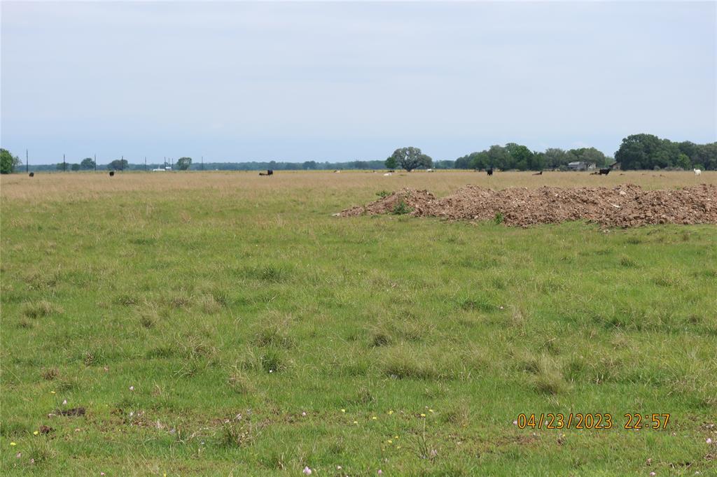 2427 County Road 126  , Van Vleck, Texas image 7