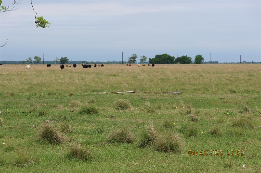 2427 County Road 126  , Van Vleck, Texas image 9