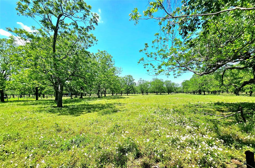 Two gorgeous lots being sold together totaling 4.789 acres. In the beautiful countryside of Boling Texas. Totally fenced in property with shady pecan trees ready to build your dream home, bring a mobile home or just to get away from the hectic city life. No septic or water well on site. Buyer will have to purchase new surveys to determine exact boundary lines. Call an agent to accompany you on the property.