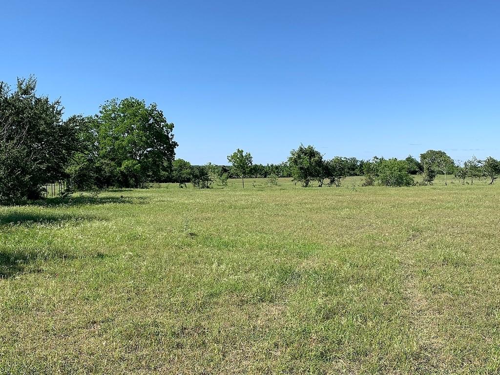 Country life, nice small acreage, 14.787 acres. Pasture land with multiple building sites. Paved CR253 with 450' road frontage. Nice rectangular shaped property, land only, no improvements. Additional acreage available. No minerals. Seller will waive surface use. Currently Ag-Exemption. Elevation change with hill in middle of property and slopes to north and south. Electricity available nearby. Lightly scattered trees, no pipeline, no floodplain, light restrictions. 3 minutes from Weimar and 7 minutes from Schulenburg. Tri-County Realty will co-broker with Buyer’s Agent making initial contact & present at all property showings. Contact Roger Sustr with Tri-County Realty for additional information or to schedule an appointment to view.
