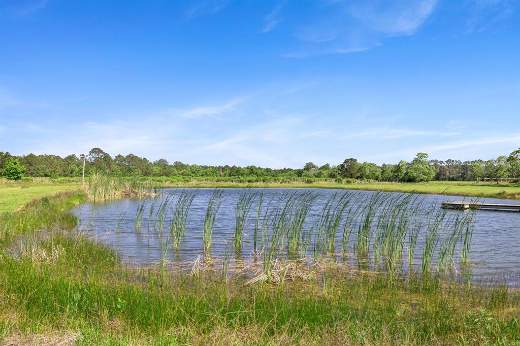 Water on the ranch is plentiful. With the bayou, 1 acre pond and year-round creek, livestock and wildlife have multiple water sources.