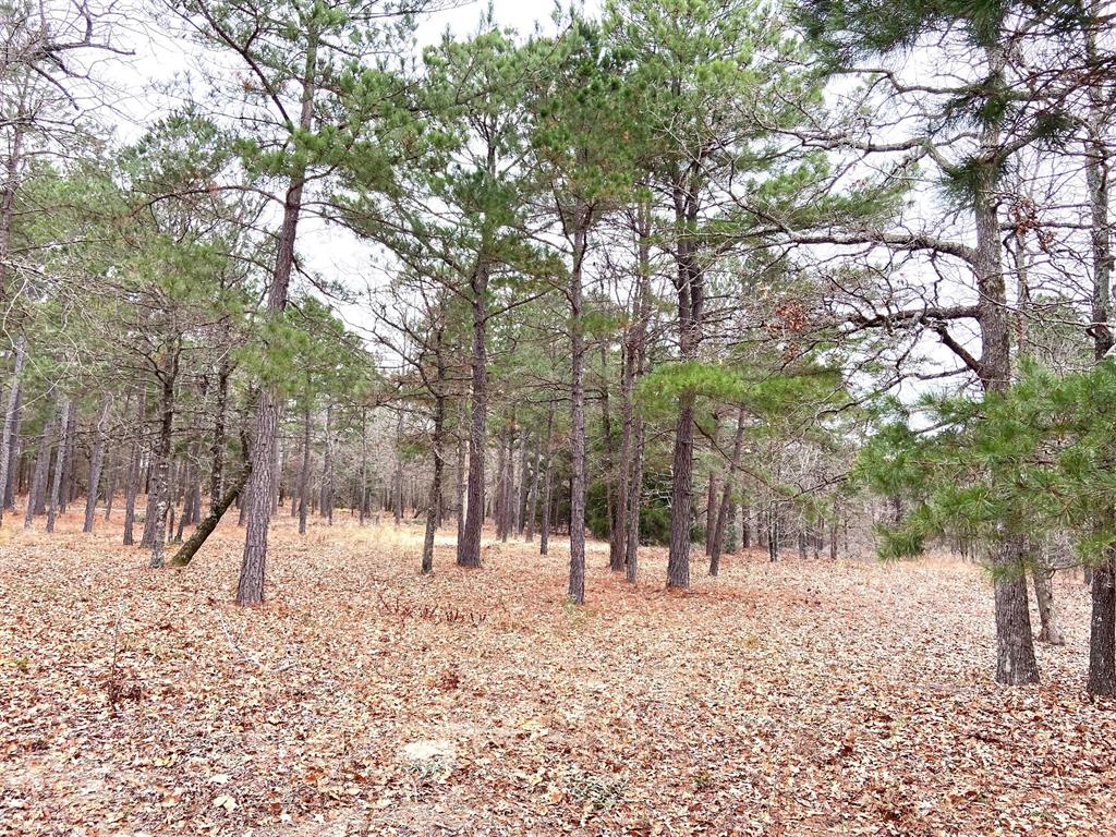 3729 Pine Wood Way , Larue, Texas image 14