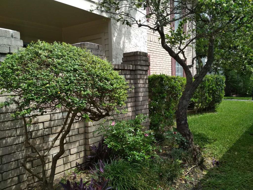 Photo #7: 57068483 Listing 