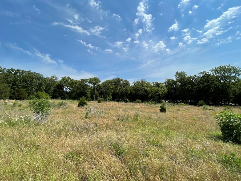 TBD Tracts 11 & 12  Private Road 207  Fairfield Texas 75840, 74