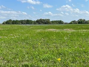 Tract 2 County Road 235, Hallettsville, TX, 77964