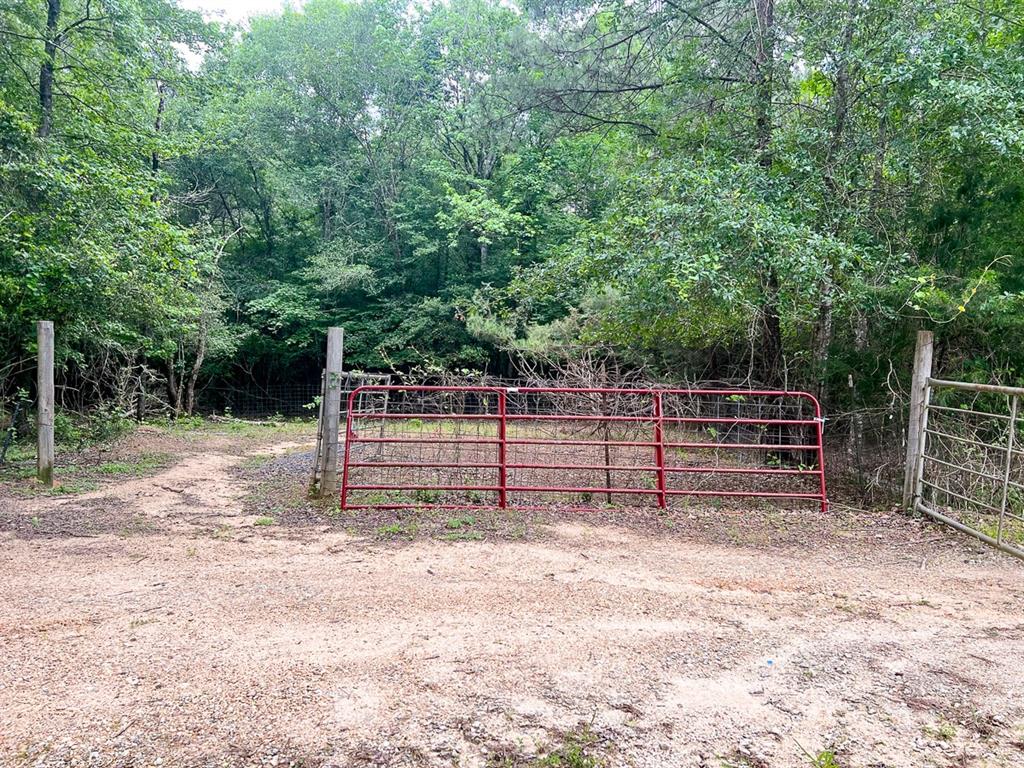 Raw, beautiful wooded property ready to be shaped into what you desire. Power and water available by extension. Tract is mostly fenced.
Lake Livingston and Lone Star Trail just minutes away!