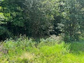 31603 Walnut Creek, Magnolia, TX, 77355