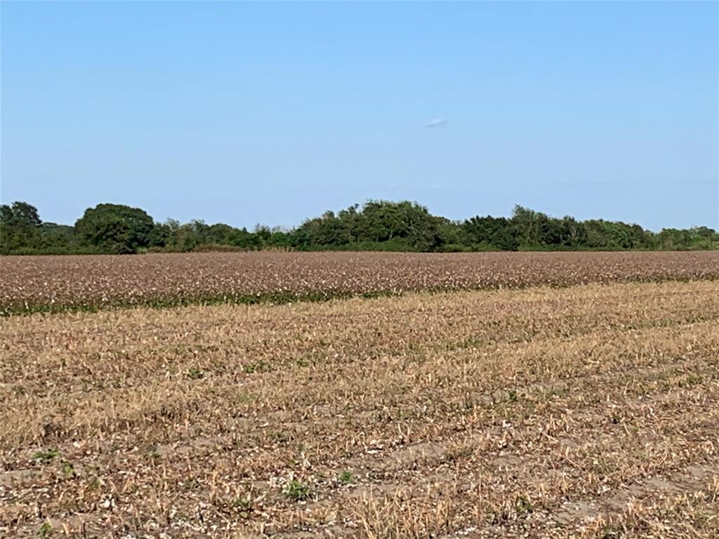 00 County Rd 356  , Louise, Texas image 3