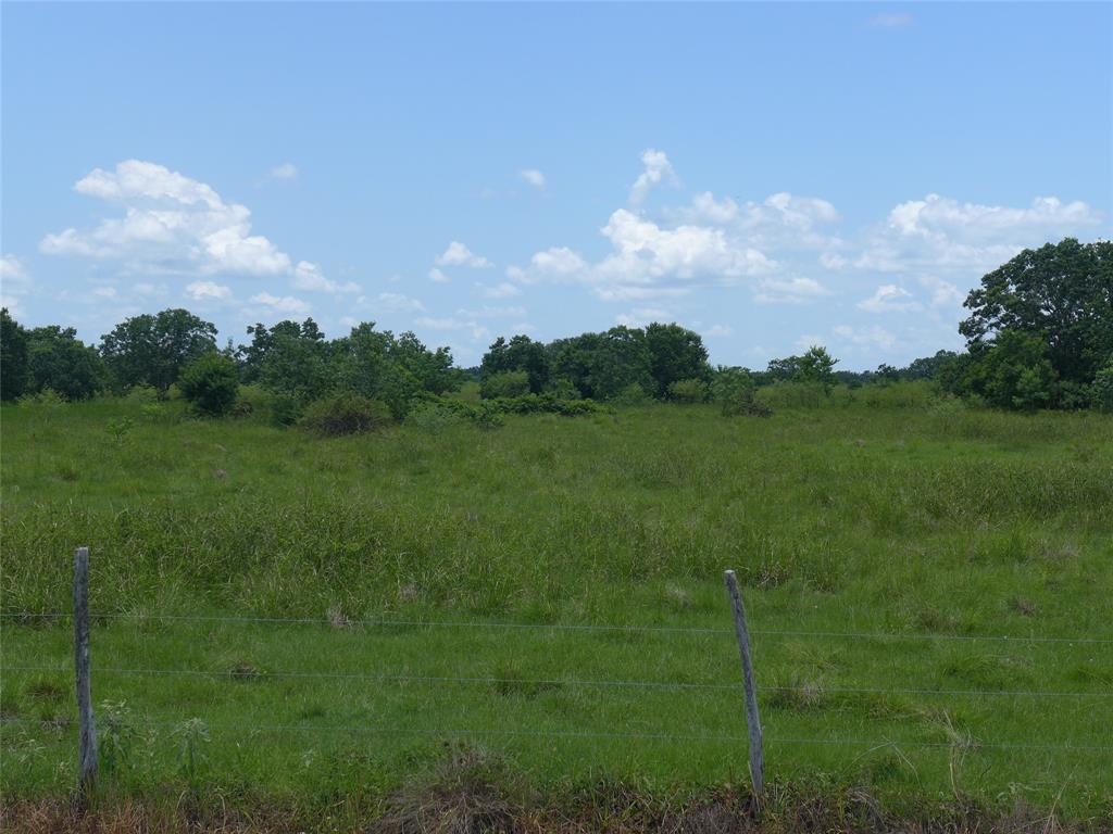 EXCELLENT OPPORTUNITY TO PURCHASE A 10 PLUS ACRE TRACT WITH ROAD FRONTAGE ON BEARD RD. READY FOR YOUR RANCH HOME WITH NO RESTRICTIONS.  THE LAND IS CLEARED AND CURRENTLY AG EXEMPT. PER RECORDS--NO PIPE LINE, & NOT LOCATED IN A FLOOD ZONE.  ALL LOCATED IN THE NEEDVILLE SCHOOL DISTRICT. SELLER WILL PROVIDE SURVEY.