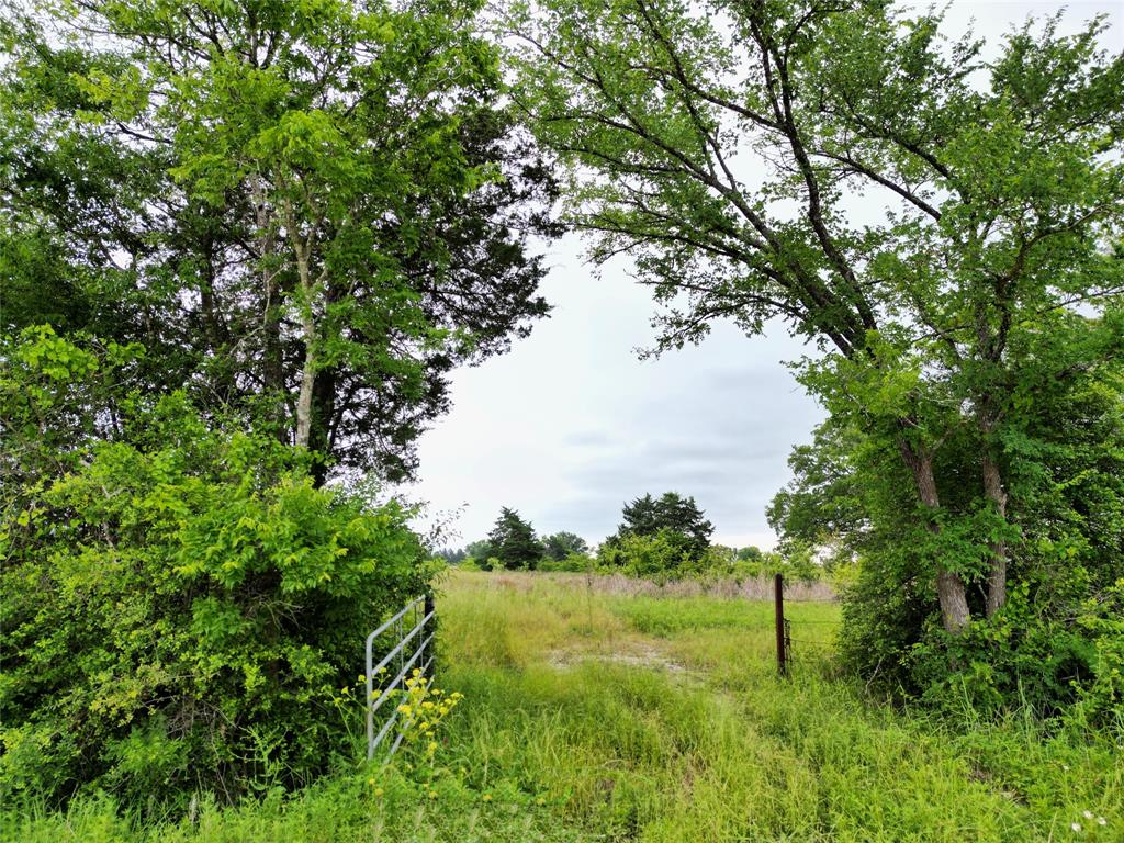Are you looking for an escape from the city? This 20-acre property in Madison County is ideal for building your dream home or as a hunter's escape. The unrestricted land has current agriculture exemptions to keep property taxes low. The property is 20 minutes from Madisonville, 25 minutes from Huntsville, and within an hour to College Station. New fencing has been installed; this property has endless possibilities. Schedule a showing today!
